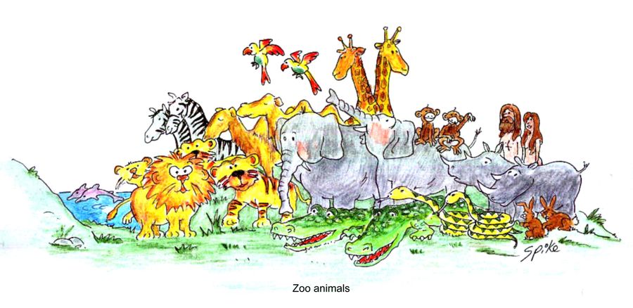 Zoo animals.