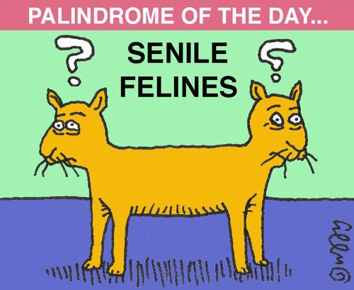 Senile Felines.