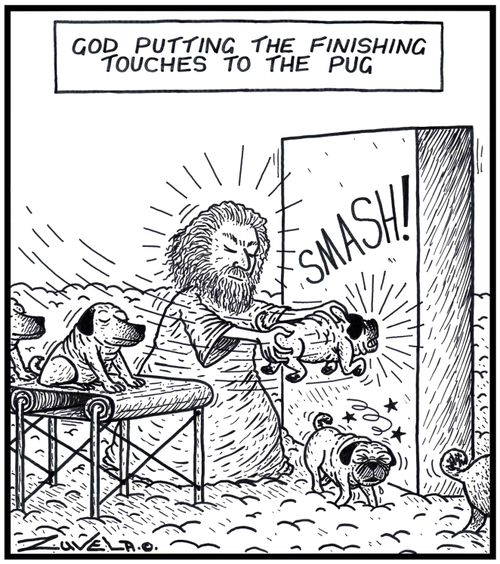 God putting the finishing touches to the Pug.