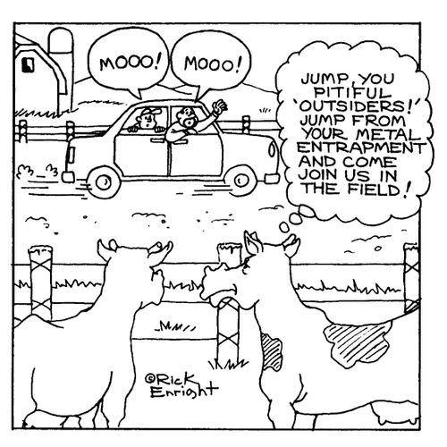 Cows trying to liberate humans
