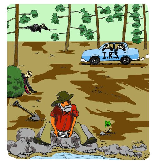 I.R.S spying on a gold prospector.