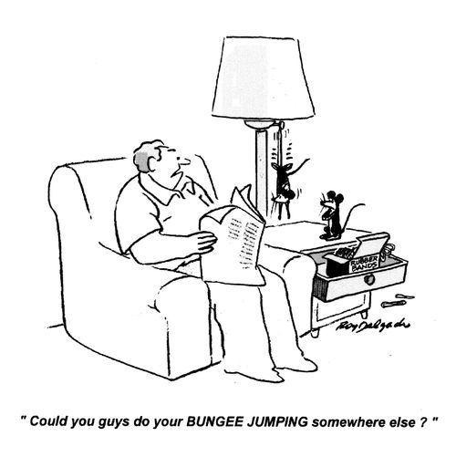 'Could you guys do your bungee jumping somewhere else?'
