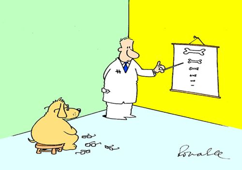 Dog'e eye test.