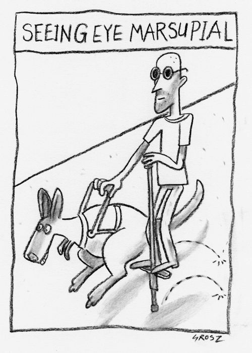 'Seeing eye marsupial.'