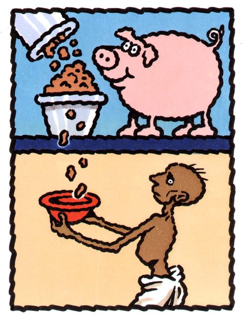 Starving man taking scraps from a pig's plate.