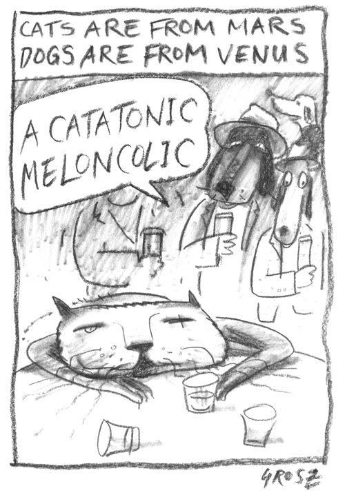 Cats are from Mars, Dogs are from Venus