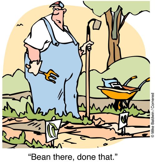 Planting vegetables - "BEAN there done that."