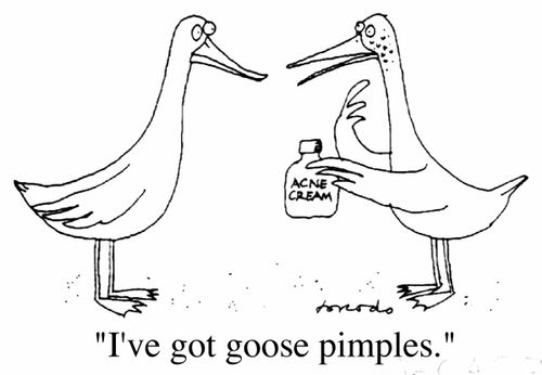 "I've got goose pimples"