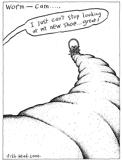 'Worm cam' "I just can't help looking at my new shoe..great!"