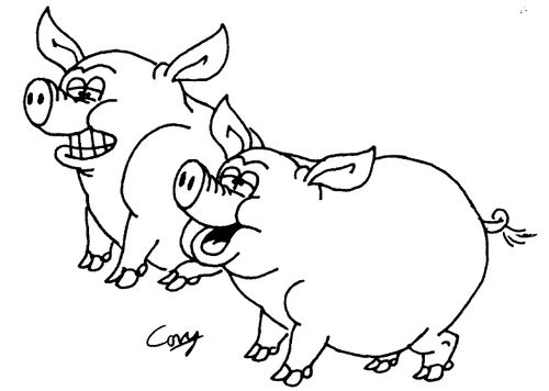 Two Pigs