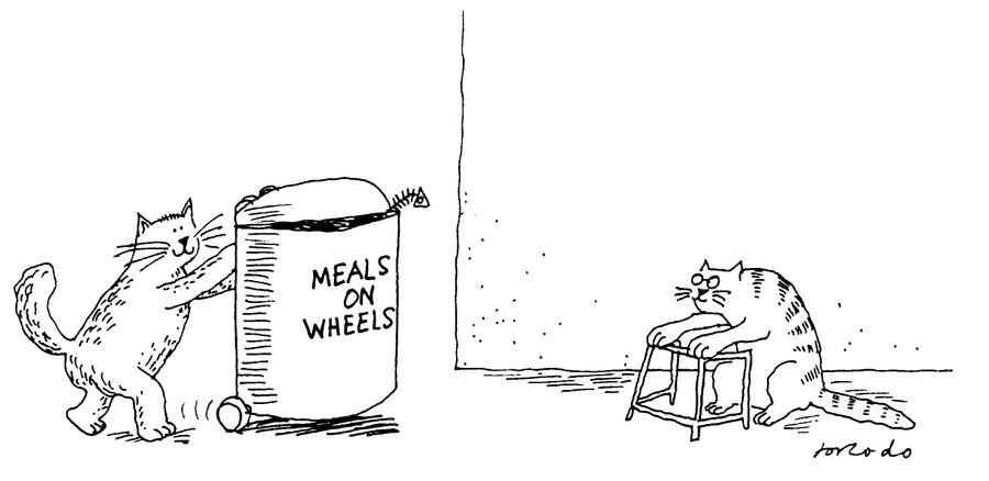 Meals on Wheels/Wheelie Bins