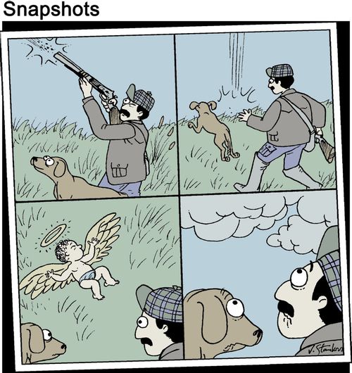 Hunter accidentally shoots an angel from the sky.