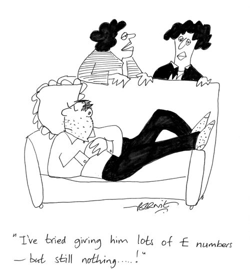'I've tried giving him lots of E numbers - but still nothing...!'