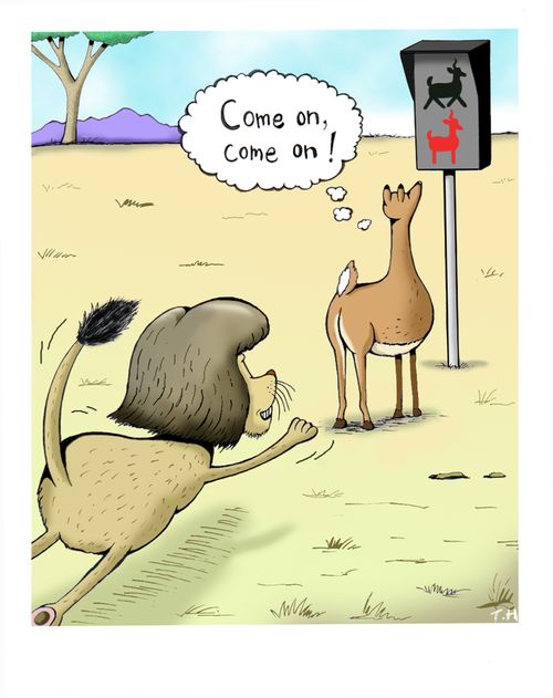 'Come on, come on!'