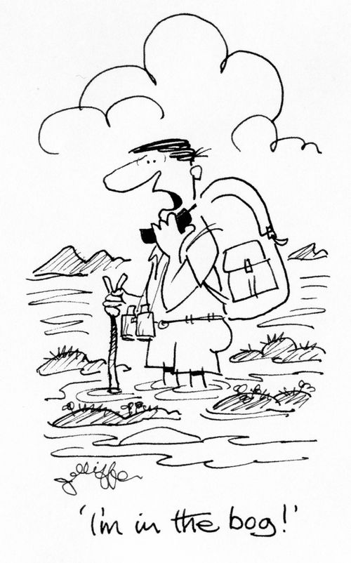 'I'm in the bog!'