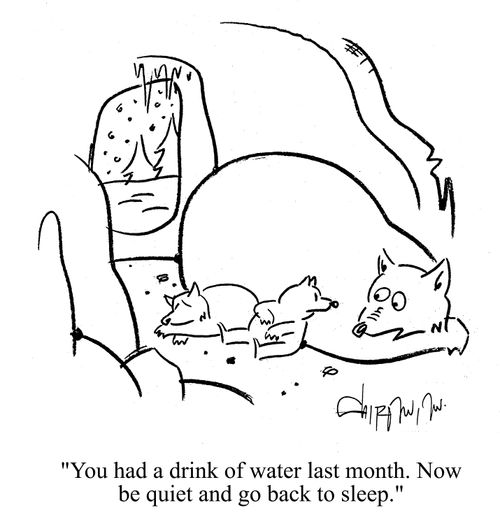 'You had a drink of water last month.  Now be quiet and go back to sleep.'