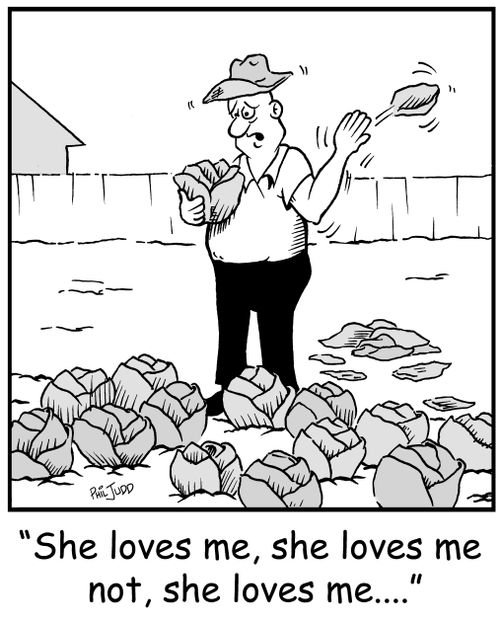 'She loves me, she loves me not, she loves me...'