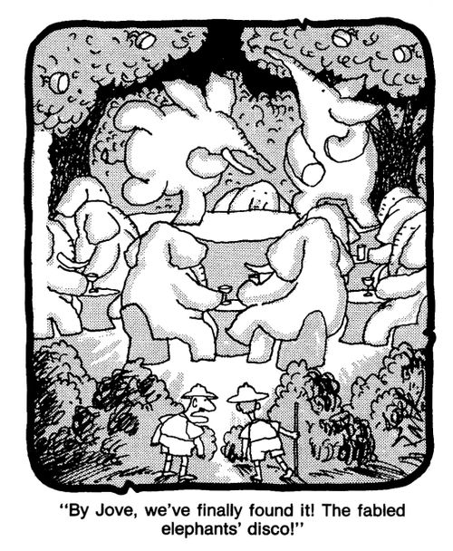 'By Jove, we've finally found it! the fabled elephants' disco!'