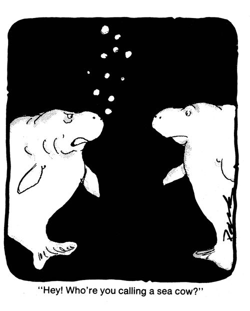 'Hey! Who you calling a sea cow?'