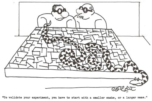 'To validate your experiment, you have to start with a smaller snake, or larger maze