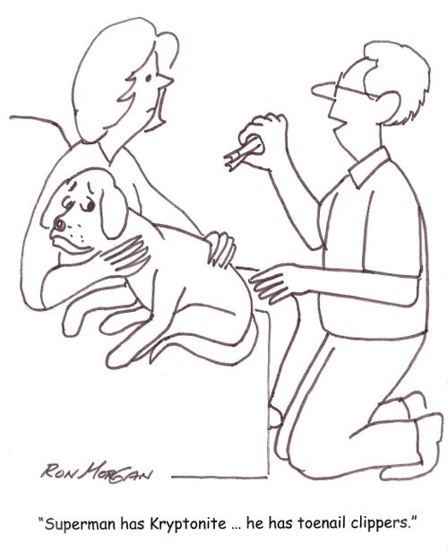 'Superman has Kryptonite ... he has toenail clippers.'