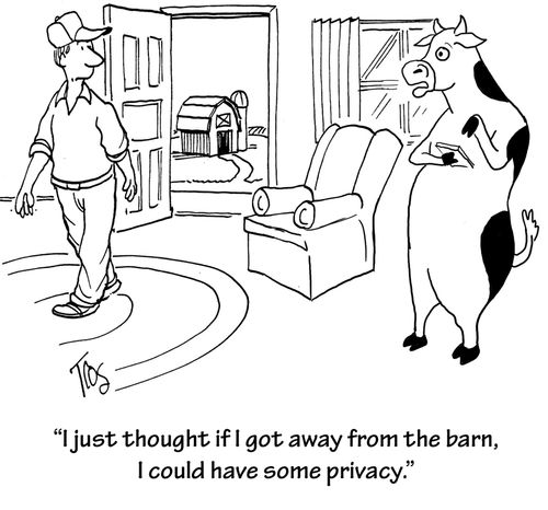 'I just thought if I got away from the barn, I could have some privacy.'