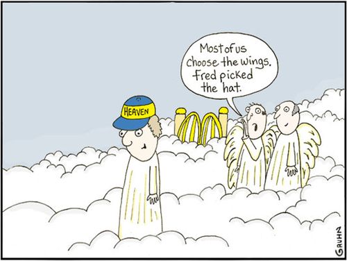 'Most of us choose the wings. Fred picked the hat.'