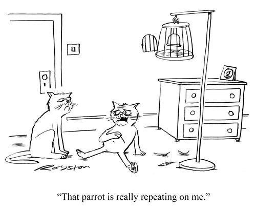 'That parrot is really repeating on me.'