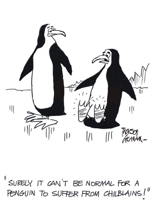 "Surely it can't be normal for a penguin to suffer from chilblains!"