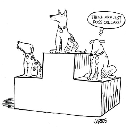 'These are just dog collars!'