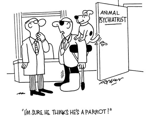 'I'm sure he thinks he's a parrot!'