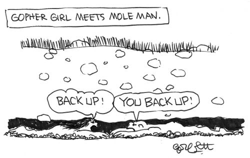 Gopher girl mets mole man.