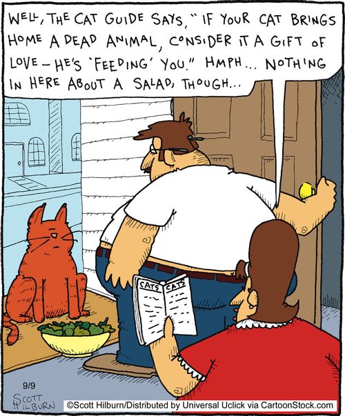 Well, the cat guide says, 'If your cat brings home a dead animal, consider it a gift of love - he's 'feeding' you.' Hmph... Nothing in here about a salad, though...