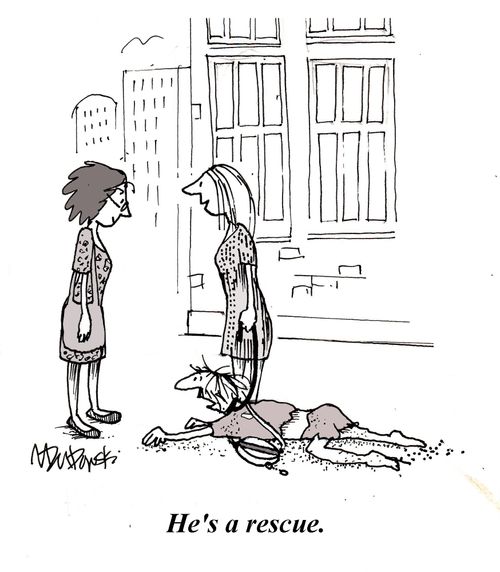 He's a rescue.
