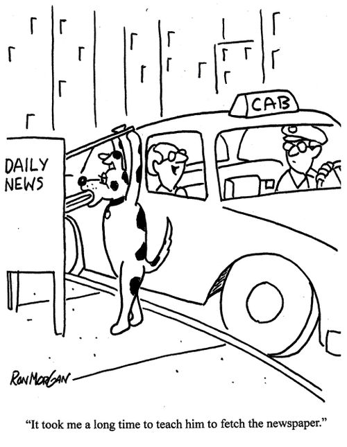 'It took me a long time to teach him to fetch the newspaper.'