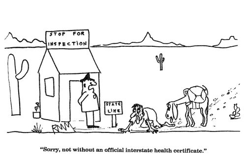 'Sorry, not without an official interstate health certificate.'