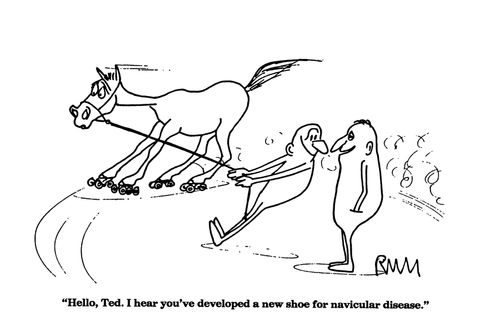 Hello, Ted.  I hear you've developed a new shoe for navicular disease.'