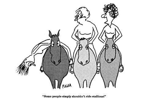 'Some people simply shouldn't ride stallions!'