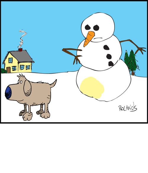 Snowman glares at a dog.