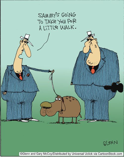 'Sammy's going to take you for a little walk.'