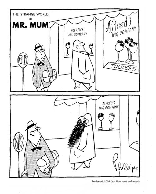 Beard Wig
