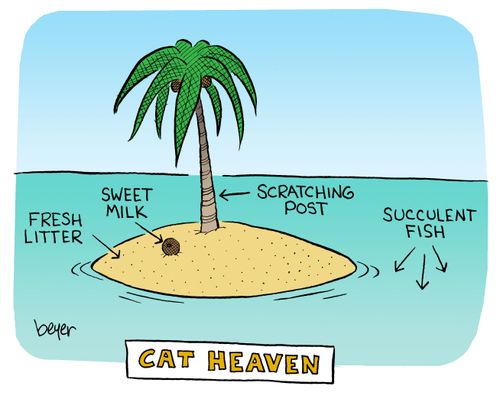 Cat Heaven