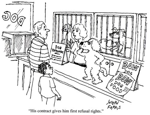 'His contract gives him first refusal rights.'