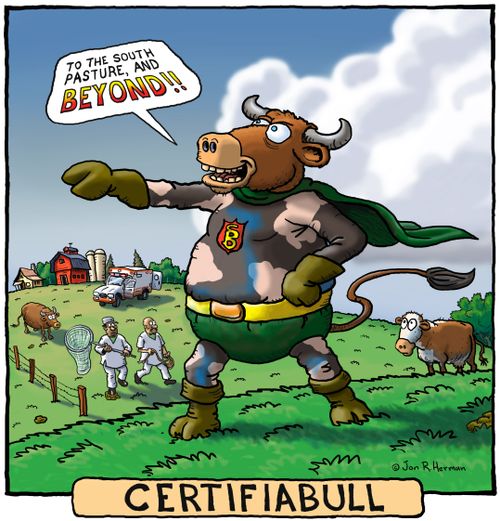 Bulltoon: Certifiabull