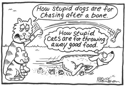 'How stupid dogs are for chasing after a bone.'
