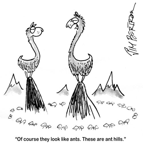 'Of course they look like ants. These are ant hills.'
