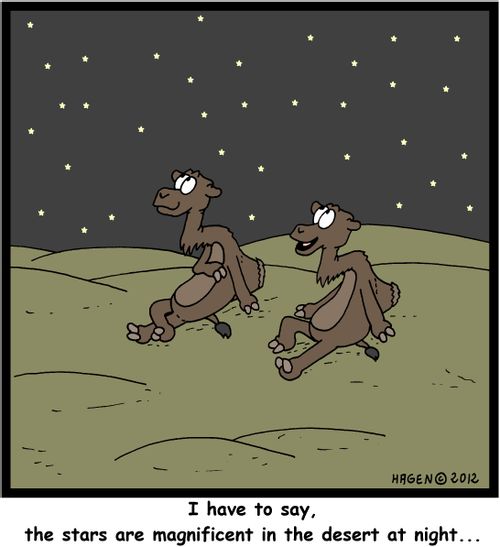'I have to say, the stars are magnificent in the desert at night...'