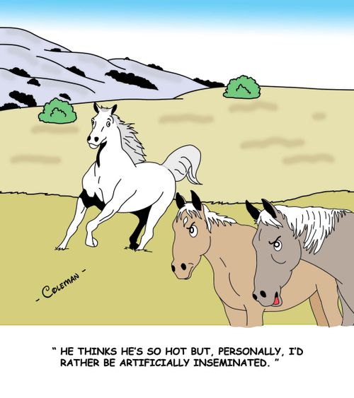 'He thinks he's so hot but, personally, I'd rather be artificially inseminated.'