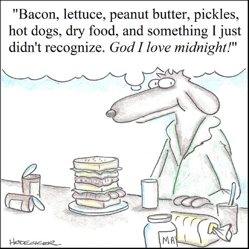 'Bacon, lettuces, peanut butter, pickles, hot dogs, dry food, and something I didn't recognize. God I love midnight.'