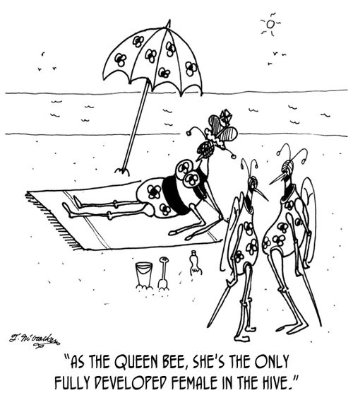 'As the queen bee, she's the only fully developed female in the hive.'